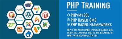 Dynamic Host Dynamic Host photo 3